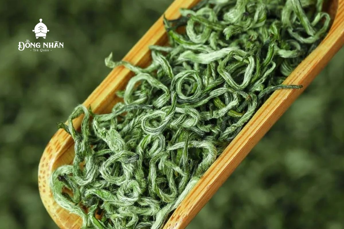 TRÀ BÍCH LOA XUÂN  - NGUỒN GỐC TÊN GỌI VÀ QUY TRÌNH SẢN XUẤT